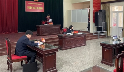 Viện KSND các quận, huyện phối hợp TAND cùng cấp tăng cường tổ chức...